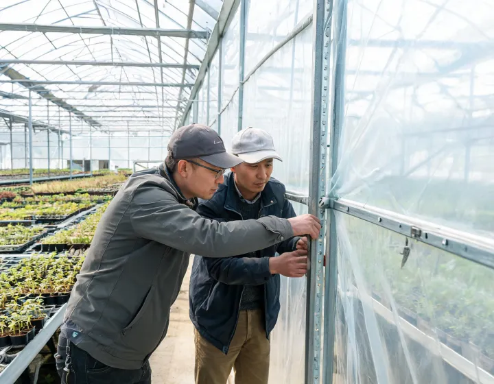 Growers inspecting a greenhouse fixing channel