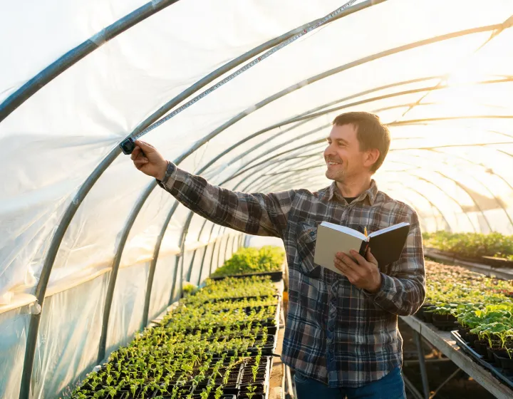 Grower measuring a film-covered hoop house