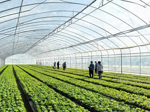 Propagation houses