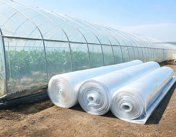 Film rolls beside greenhouse covering